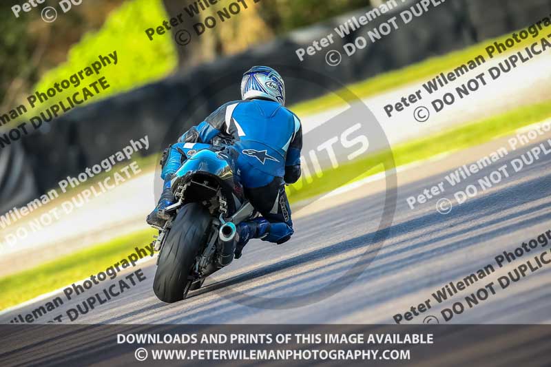 Oulton Park 20th March 2020;PJ Motorsport Photography 2020;anglesey;brands hatch;cadwell park;croft;donington park;enduro digital images;event digital images;eventdigitalimages;mallory;no limits;oulton park;peter wileman photography;racing digital images;silverstone;snetterton;trackday digital images;trackday photos;vmcc banbury run;welsh 2 day enduro